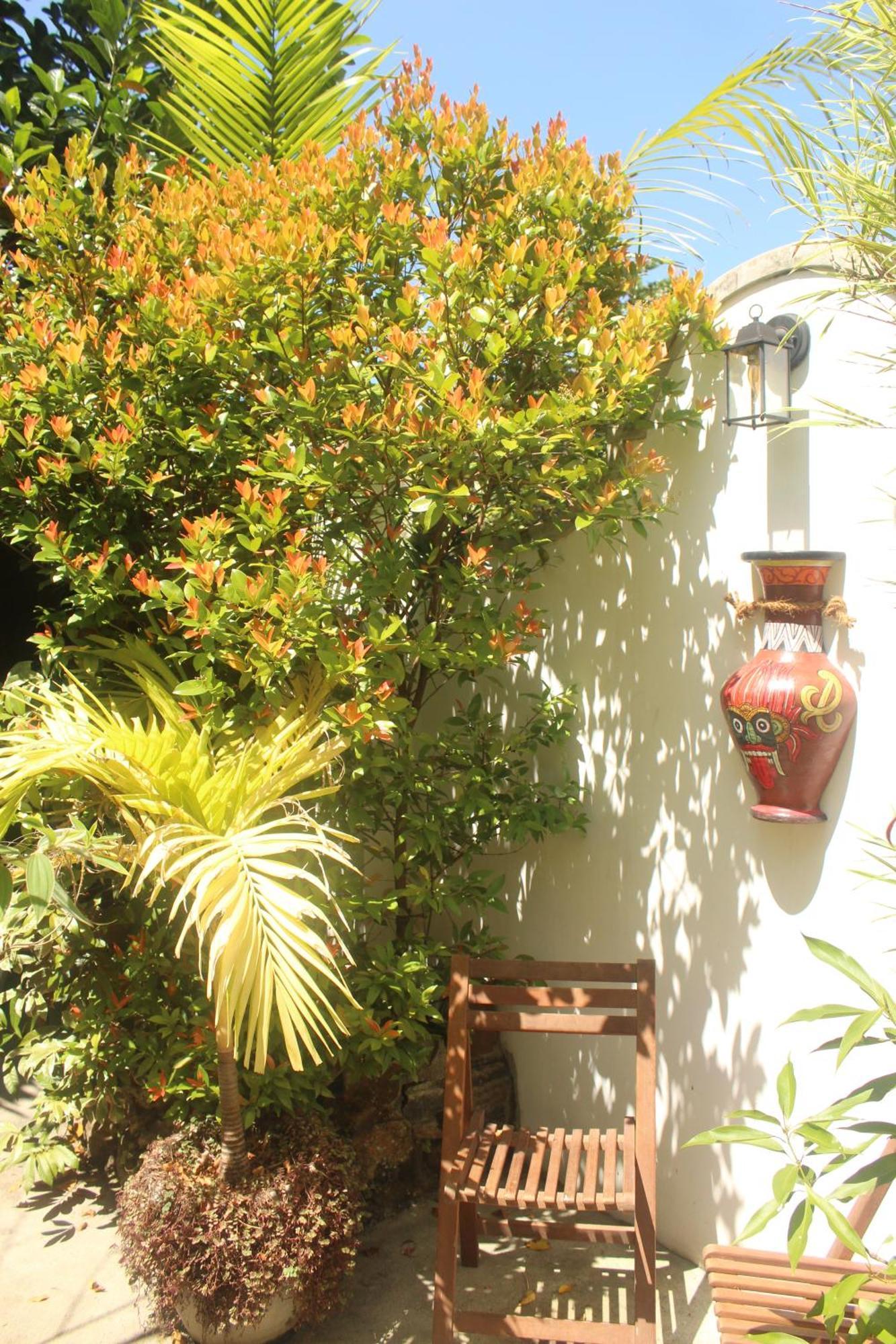קנדי Villa Olde Ceylon מראה חיצוני תמונה