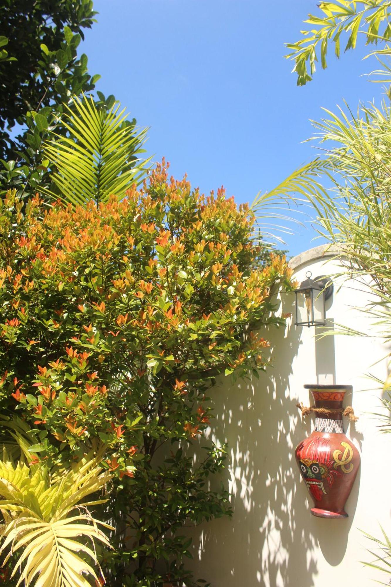קנדי Villa Olde Ceylon מראה חיצוני תמונה